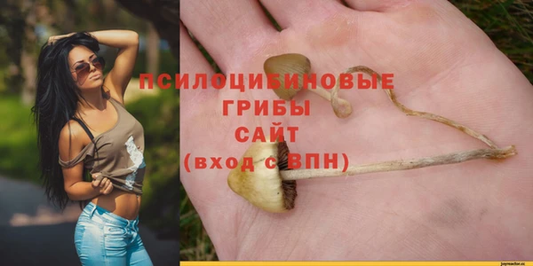 а пвп мука Переславль-Залесский