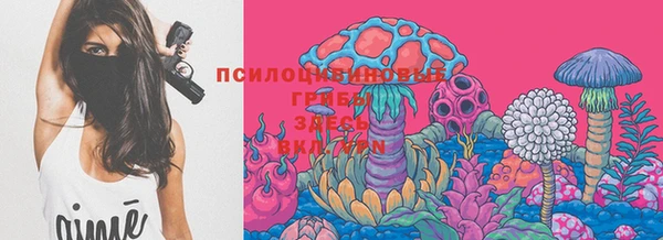 а пвп мука Переславль-Залесский