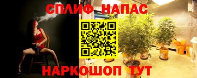 трава Беслан