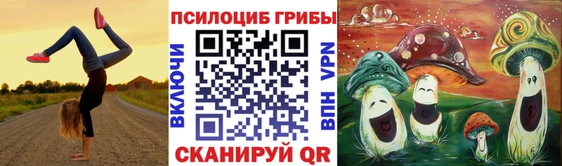 гидра как войти  Советская Гавань  Псилоцибиновые грибы Psilocybe  даркнет сайт 