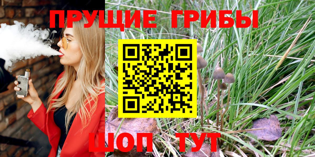 Псилоцибиновые грибы GOLDEN TEACHER  где купить наркотик  Советская Гавань  Вход с VPN  Псилоцибиновые грибы Psilocybe 