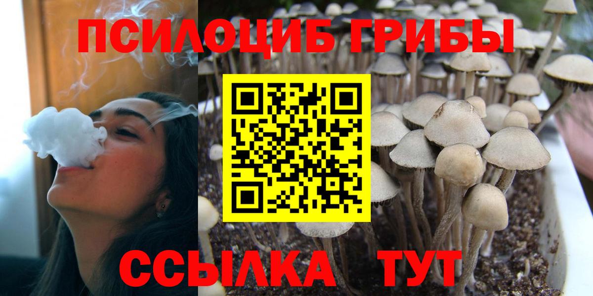 Галлюциногенные грибы MAGIC MUSHROOMS Советская Гавань