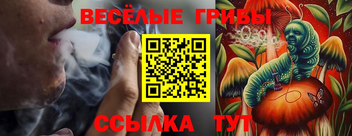 Псилоцибиновые грибы мухоморы  Советская Гавань 